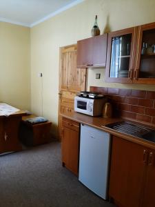 Köök või kööginurk majutusasutuses Apartmány-Zámecká restaurace