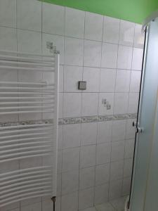 Vannituba majutusasutuses Apartmány-Zámecká restaurace