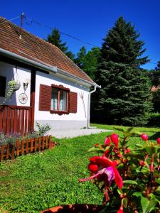 Zahrada ubytování Őrség Kincse Nagy Apartman - 6 főre