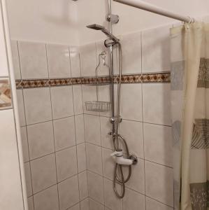 Kúpeľňa v ubytovaní Rege apartman 2