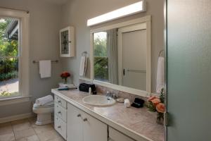 a bathroom with a sink and a mirror and a toilet at Inn at the Gorge in Hood River