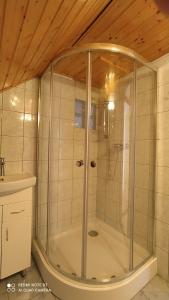 a shower with a glass door in a bathroom at Anna Ilona Vendégház in Badacsonytomaj +68 photos
