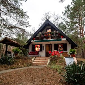 貝拉茨爾克瓦的住宿－Ladybird Lodge，黑白屋顶的房子