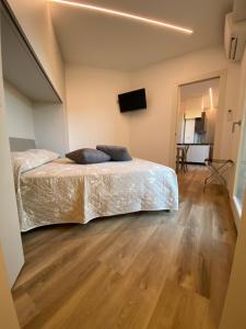 una camera con letto e TV a schermo piatto di Welcome Traveller BORSATI'S APARTMENTS a Garda
