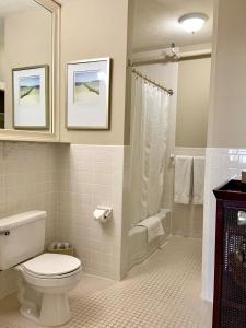 uma casa de banho com um WC e um chuveiro em The Inn at Longshore em Westport