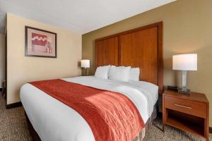 Gallery image of Comfort Inn & Suites in Triadelphia