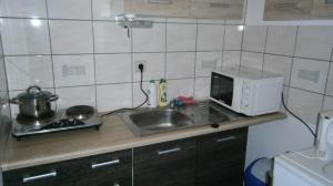 encimera de cocina con fregadero y microondas en Pokoje goscinne DW Antom en Dźwirzyno