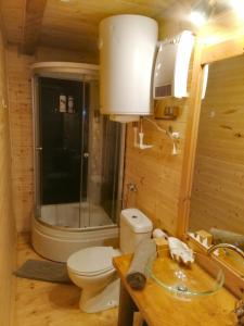 a bathroom with a toilet and a shower and a sink at Nexus B2 in Făgeţel