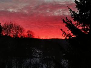 un tramonto rosso con alberi in primo piano di Willa Katarzynka a Wisła