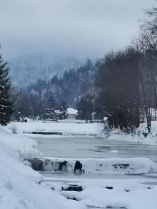 Un paisaje natural cerca de la habitación en casa particular
