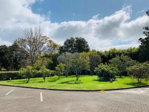 un aparcamiento vacío con un parque con árboles en Aotearoa Lodge en Whitianga