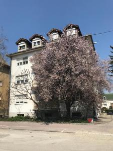 Budova, kde se apartmán nachází