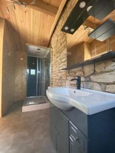 a large bathroom with a sink and a shower at Chalet Valle di Corti in Pianottoli-Caldarello