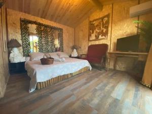 a bedroom with a bed and a television in a room at Chalet Valle di Corti in Pianottoli-Caldarello