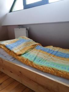 Letto o letti in una camera di Jarebika