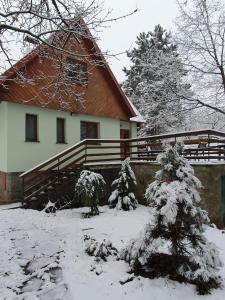 une maison avec des arbres enneigés devant elle dans l'établissement Zelený dom, à Modra