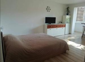 een slaapkamer met een bed en een flatscreen-tv bij Light one room apartment in Visaginas