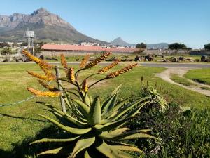 Gallery image of Lighthouse Farm Backpackers Lodge in Cape Town
