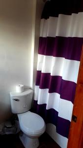 a bathroom with a toilet and a colorful shower curtain at Apart Hotel Arrayán in Coihaique