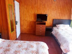 a bedroom with two beds and a tv on a wooden wall at Apart Hotel Arrayán in Coihaique