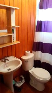 a bathroom with a toilet and a sink at Apart Hotel Arrayán in Coihaique