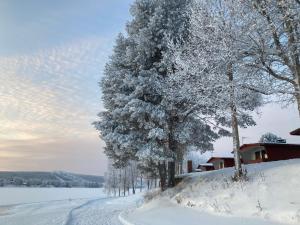 Saarituvat Cottages iarna