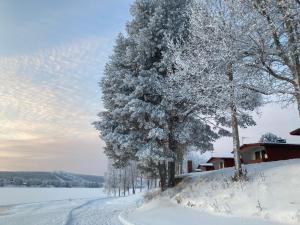 eine schneebedeckte Straße neben Bäumen und einem Haus in der Unterkunft Saarituvat Cottages in Rovaniemi