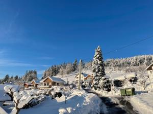 una casa cubierta de nieve con un árbol en le bleu du lac Sauna et Spa en Gérardmer