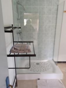 a shower in a bathroom with a towel on a shelf at Meublé de campagne au calme in Louchy-Montfand