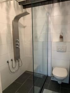 a bathroom with a toilet and a glass shower at Het Fazantenbosje in Dalfsen