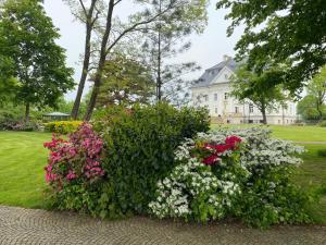 Vonkajšia záhrada v ubytovaní Hotel Pałac Borynia
