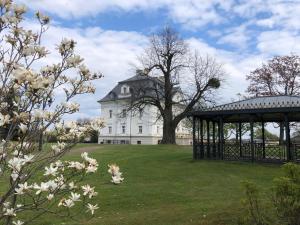 Vonkajšia záhrada v ubytovaní Hotel Pałac Borynia