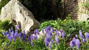 un jardín con flores púrpuras y una roca en Gästehaus Pöppl, en Unterwossen