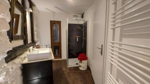 ein Badezimmer mit Waschbecken und Dusche mit Spiegel in der Unterkunft Manoir -1654- historisch schlafen in Monschaus Altstadt in Monschau + 18 Fotos