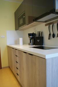 Kuchyň nebo kuchyňský kout v ubytování Apartmány Kvetná