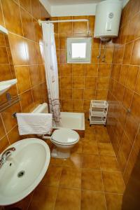 a bathroom with a toilet and a sink at Apartment Dumičić 1 in Rab