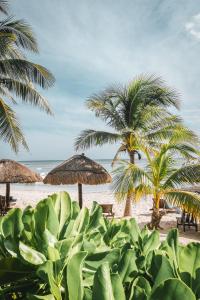 Fotografie z fotogalerie ubytování Paamul Hotel v destinaci Palmul