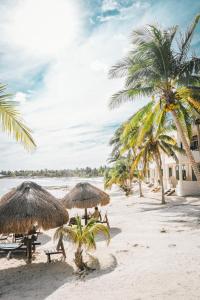 Fotografie z fotogalerie ubytování Paamul Hotel v destinaci Palmul