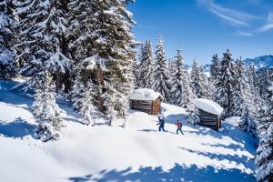 Mountain alpine durante o inverno