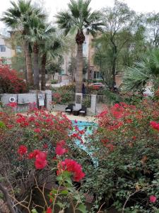 a garden with red flowers and palm trees and a pool at Desert Rose Villas - Private One Bedroom in Old Town Scottsdale in Scottsdale