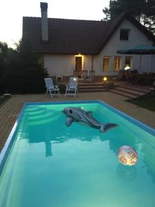 Basen w obiekcie Dom Letniskowy na Kaszubach z podgrzewanym basenem lub w pobliżu