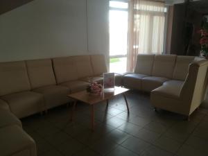 Sala de estar con sofás y mesa de centro en Borisz Apartman Zalakaros, en Zalakaros