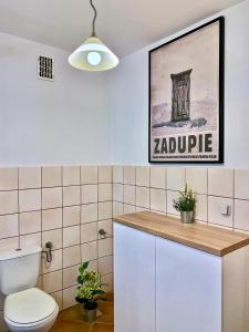 een badkamer met een toilet en een poster aan de muur bij APARTAMENT GIMNAZJALNA 8a (Maria Mąka) in Zakopane