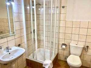 een badkamer met een douche, een toilet en een wastafel bij APARTAMENT GIMNAZJALNA 8a (Maria Mąka) in Zakopane