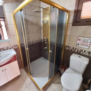 a shower with a toilet and a sink in a bathroom at Vouni King Hotel in Limnitis