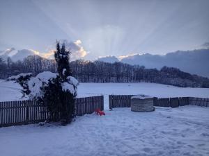 度假屋周边自然景观