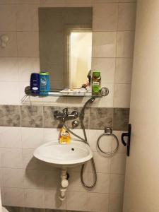 bagno con lavandino e specchio di Retro Mini Apartment a Zemun