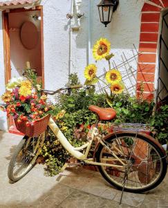 Una bicicleta con una cesta llena de flores en Hostal Solsticio Guajiro, en Ríohacha
