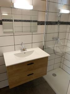 La salle de bains est pourvue d'un lavabo et d'une douche. dans l'établissement Barcelonnette location avec jardin, à Barcelonnette