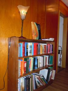 ein Bücherregal gefüllt mit Büchern und einer Lampe in der Unterkunft Klosterweiherhof in Dachsberg im Schwarzwald